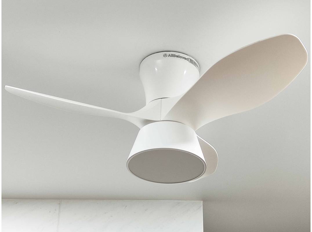 Compact Ceiling Fan With Light 22